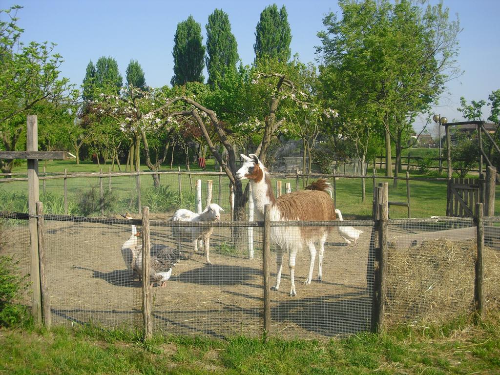 Agriturismo La Penisola Casa de hóspedes Campo San Martino Exterior foto